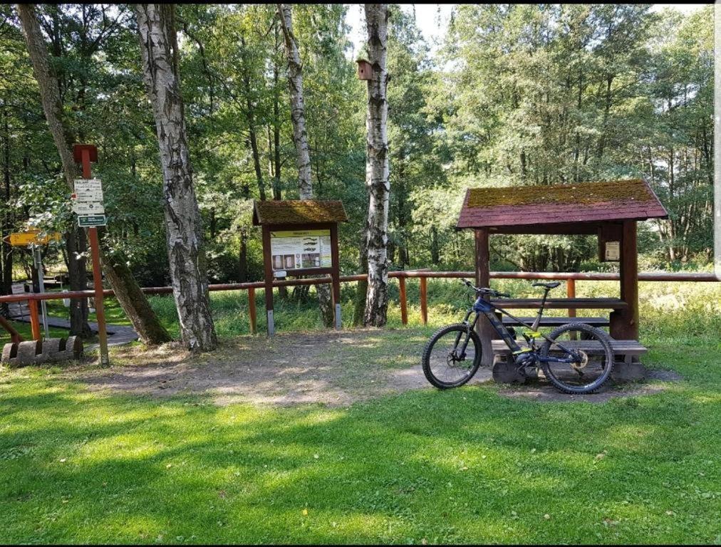 Landgasthof Grüner Baum Regnitzlosau Dış mekan fotoğraf