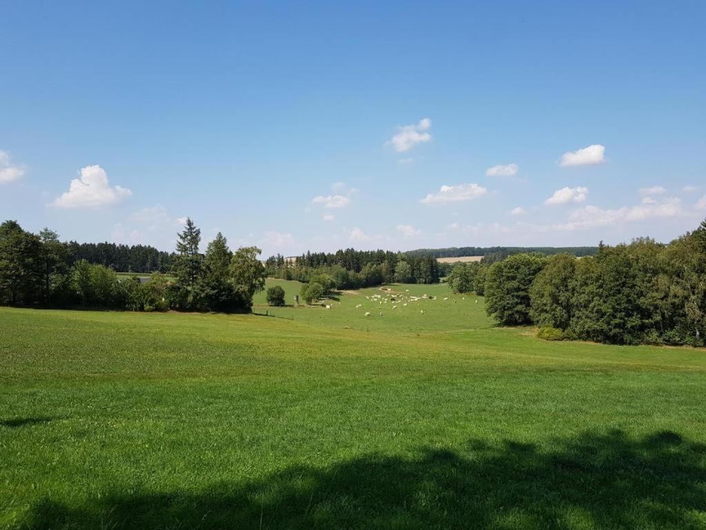 Landgasthof Grüner Baum Regnitzlosau Dış mekan fotoğraf